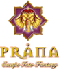 プラナ スパ ロゴ